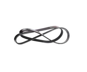 FEBI BILSTEIN 28810 Serpentine belt