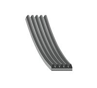 FEBI BILSTEIN 28854 Serpentine belt