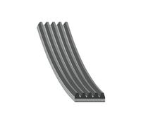 FEBI BILSTEIN 28874 V-Ribbed Belt Replacement Fits Renault 25 Mitsubishi Ferrari