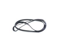 febi bilstein 28889 Auxiliary Belt