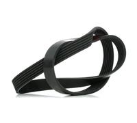 FEBI BILSTEIN 28907 Serpentine belt