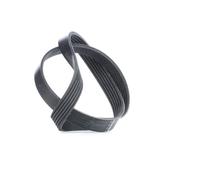 FEBI BILSTEIN 28913 Serpentine belt