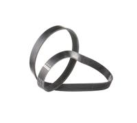 FEBI BILSTEIN 28928 Serpentine belt