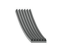 febi bilstein 28931 Auxiliary Belt, pack of one, Black