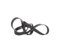 FEBI BILSTEIN 28943 Serpentine belt