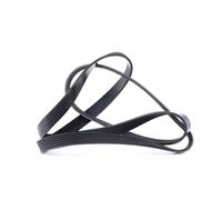 FEBI BILSTEIN 28956 Serpentine belt