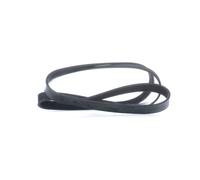 FEBI BILSTEIN 28959 Serpentine belt
