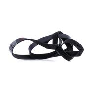 FEBI BILSTEIN 28999 Serpentine belt