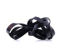 FEBI BILSTEIN 29007 Serpentine belt