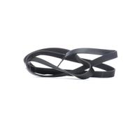 FEBI BILSTEIN 29009 Serpentine belt