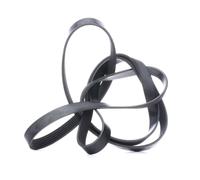 FEBI BILSTEIN 29014 Serpentine belt