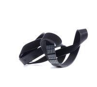 FEBI BILSTEIN 29030 Serpentine belt