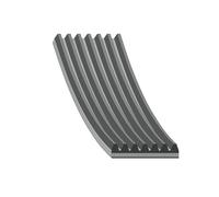 FEBI BILSTEIN 29031 V-Ribbed Belt 1625mm Length 7 Ribs Belt Drive Fits BMW X5