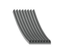 FEBI BILSTEIN 29053 V-Ribbed Belt Fits Daf Mercedes Volvo John Deere Evobus