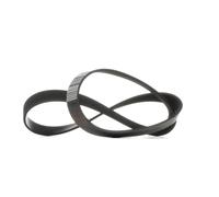febi bilstein 29054 Auxiliary Belt, pack of one