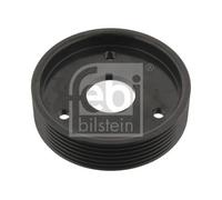 Febi Bilstein 29501 Power Steering Pump Belt Pulley Replacement Fits Renault