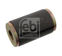 FEBI BILSTEIN 29570 Bush, spring eye