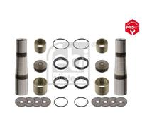 CV Kingpin kit 29730 Febi 0683469 1895530 1895530S1 683469 Quality Guaranteed