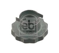 febi bilstein 30028 Axle Nut, pack of one