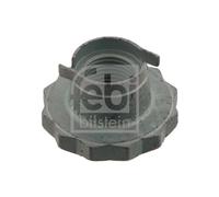 febi bilstein 30028 Axle Nut, pack of one