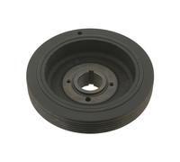 FEBI BILSTEIN 30138 Crankshaft Belt Pulley Fits Peugeot Boxer Van BUS Citroen