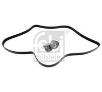 FEBI BILSTEIN 30207 V-Ribbed Belt Set 2080mm Length Fits MERCEDES-BENZ EVOBUS