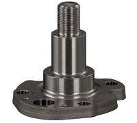 FEBI BILSTEIN 30276 Kingpin, axle beam