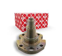 FEBI BILSTEIN 30276 Kingpin, axle beam