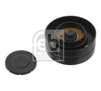FEBI BILSTEIN 30893 Deflection / Guide Pulley, v-ribbed belt