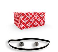 FEBI BILSTEIN 31058 Timing belt kit