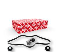 FEBI BILSTEIN 31624 V-Ribbed Belt Set