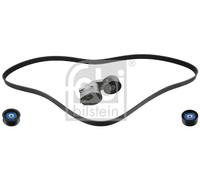 Drive Belt Kit 31727 Febi Set 1354391 1354391S2 1376317 1376317S2 1389024 New