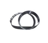 FEBI BILSTEIN 33026 Serpentine belt
