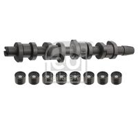 FEBI BILSTEIN 33195 Camshaft kit