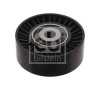 FEBI BILSTEIN 33880 Deflection / Guide Pulley, v-ribbed belt