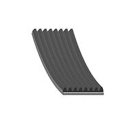 febi bilstein 34143 Auxiliary Belt, pack of one