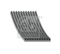 11 Rib Multi V Drive Belt 34340 Febi A0009938096 A0019937496 0009938096 11PK2866