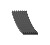 febi bilstein 34346 Auxiliary Belt, pack of one