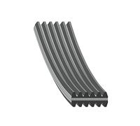 febi bilstein 34459 Auxiliary Belt, pack of one, Black