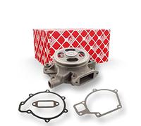febi bilstein 35029 Water Pump with belt pulley and seals, pack of one