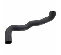 FEBI BILSTEIN 36139 Radiator hose