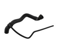 FEBI BILSTEIN 36145 Radiator hose