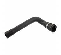FEBI BILSTEIN 36280 Radiator hose