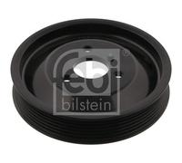 febi bilstein Pulley 37225 – Power steering pump – Pack of 1