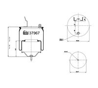 FEBI BILSTEIN 37967 Boot, air suspension
