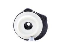 FEBI BILSTEIN 38205 Repair kit, suspension strut
