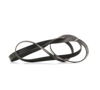 febi bilstein 38252 Auxiliary Belt, pack of one