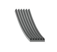 febi bilstein 38427 Auxiliary Belt, pack of one