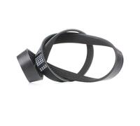 FEBI BILSTEIN 38432 Serpentine belt