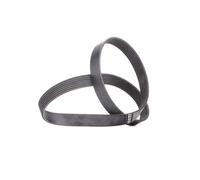 FEBI BILSTEIN 38434 Serpentine belt